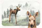 Woodland Babies Wild Animals Clipart, an Animal Illustration by whiteheartdesign (Thumbnail 7 of 28)