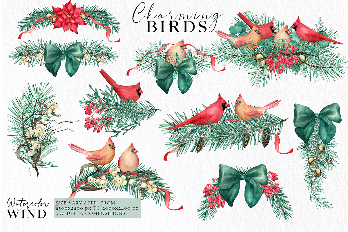 Christmas Teal Clipart Cardinal Bird, an Illustration by Ksenia Shmakova (Photo 10 of 16)