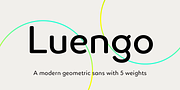 Luengo, a Sans Serif Font by Hashtag Type (Thumbnail 1 of 8)