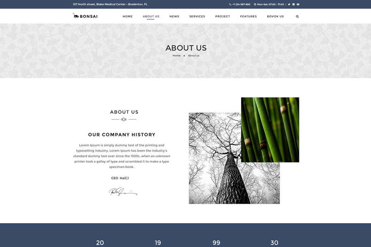 Bonsai - WP Landscapers & Gardeners, a WordPress Template by Knighthemes (Photo 4 of 16)