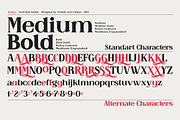 Raiken - Serif font family, a Serif Font by Artistic & Unique (Thumbnail 4 of 14)