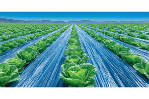 Agriculture and farming in Ukraine's, a Nature Photo by ZinetroN