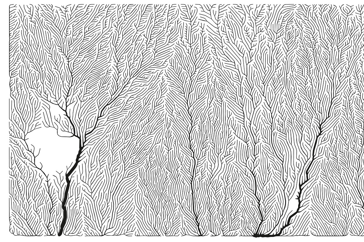 Growth - 50 Backgrounds, a Texture Graphic by GarryKillian (Photo 39 of 51)