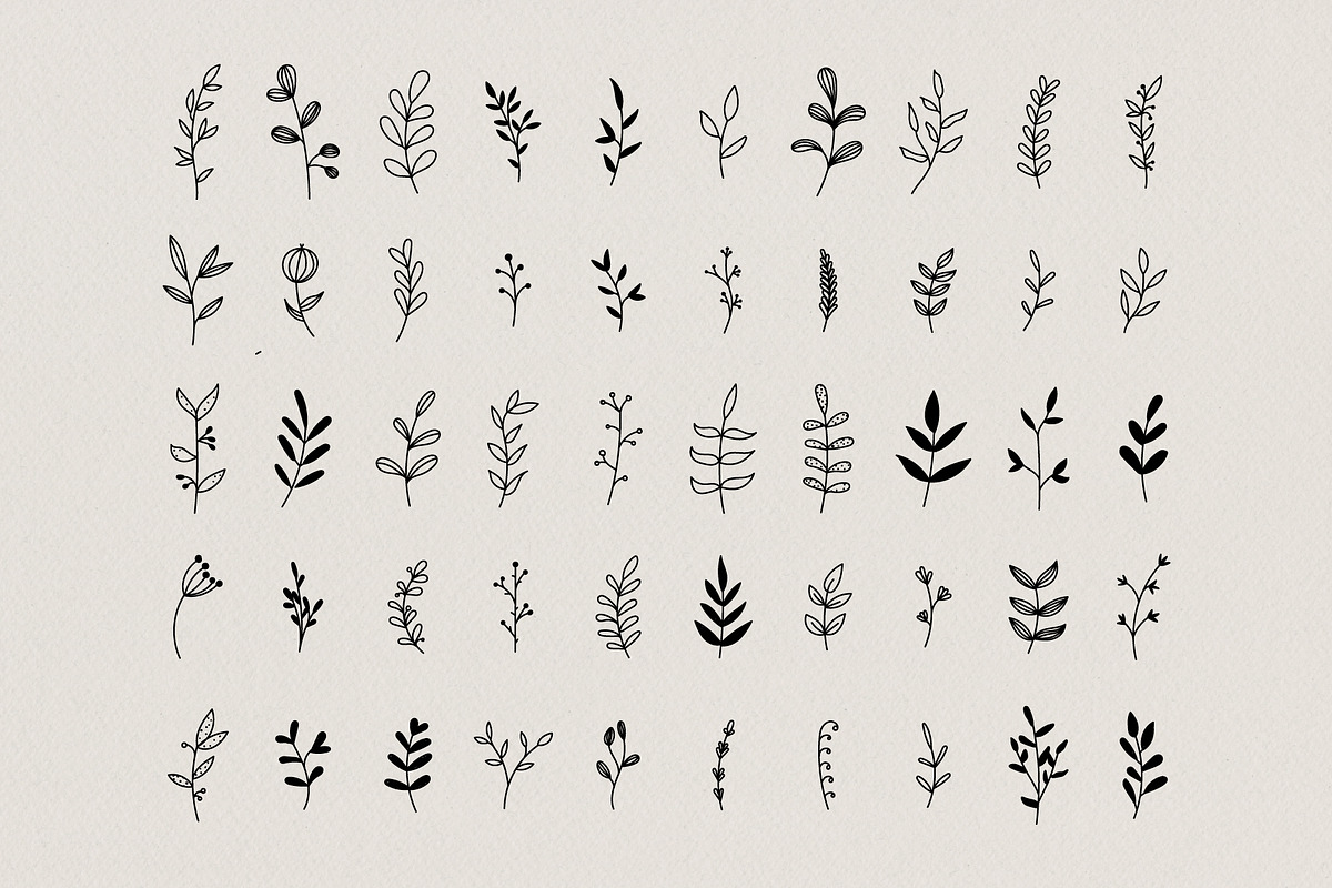 Botanical Hand Drawn Illustrations, a Decorative Illustration by Irene Florentina Design (Photo 2 of 5)
