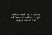 The Perfectly Migthem (11 Font), a Serif Font by IM Studio (Thumbnail 9 of 9)