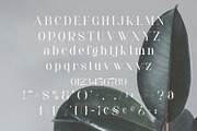 Seroja - Elegant Serif Font, a Serif Font by Aqeel_Art (Thumbnail 10 of 12)