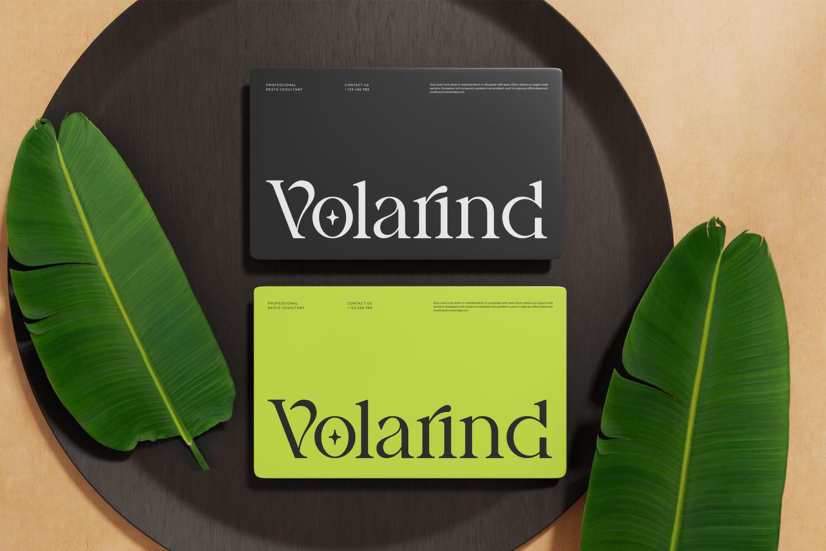 Brilega Fadone | Modern Classy Serif, a Serif Font by Ermedia Studio (Photo 5 of 10)