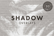 30 Botanical Shadow Overlays, a Mockup by Megs Lang (Thumbnail 1 of 8)