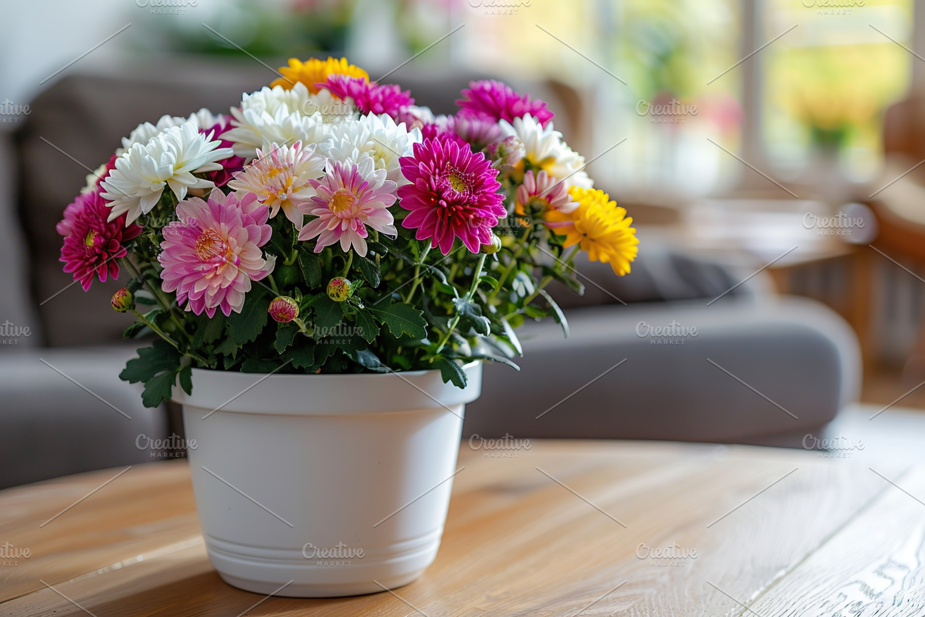 Bouquet of chrysanthemum flowers in flowerpot on table in living room, a Photo by AlyaAnd
