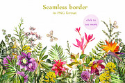 Tropical collection. Summer design., a Decorative Illustration by Lisima (Thumbnail 12 of 19)