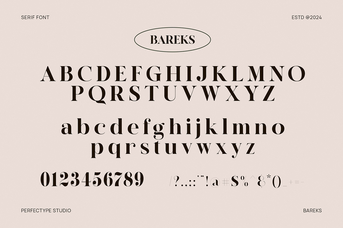 Bareks Elegant Serif Font Typeface, a Serif Font by Perfectype (Photo 6 of 6)