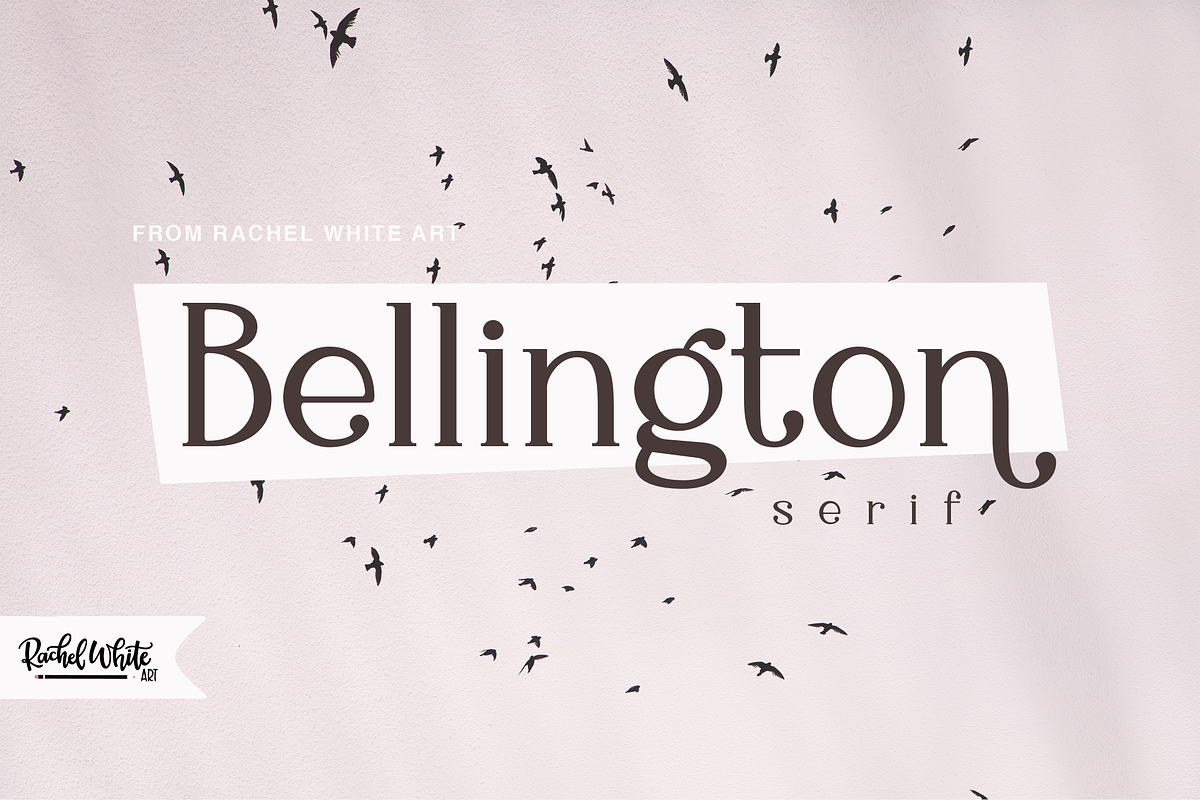 Favorite Font Bundle, 8 fonts, a Script Font by Rachel White Art (Photo 14 of 17)