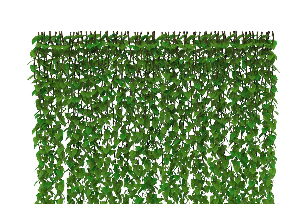Wall of vines, an Environmental 3D Model by AndrewWhite (Photo 4 of 5)