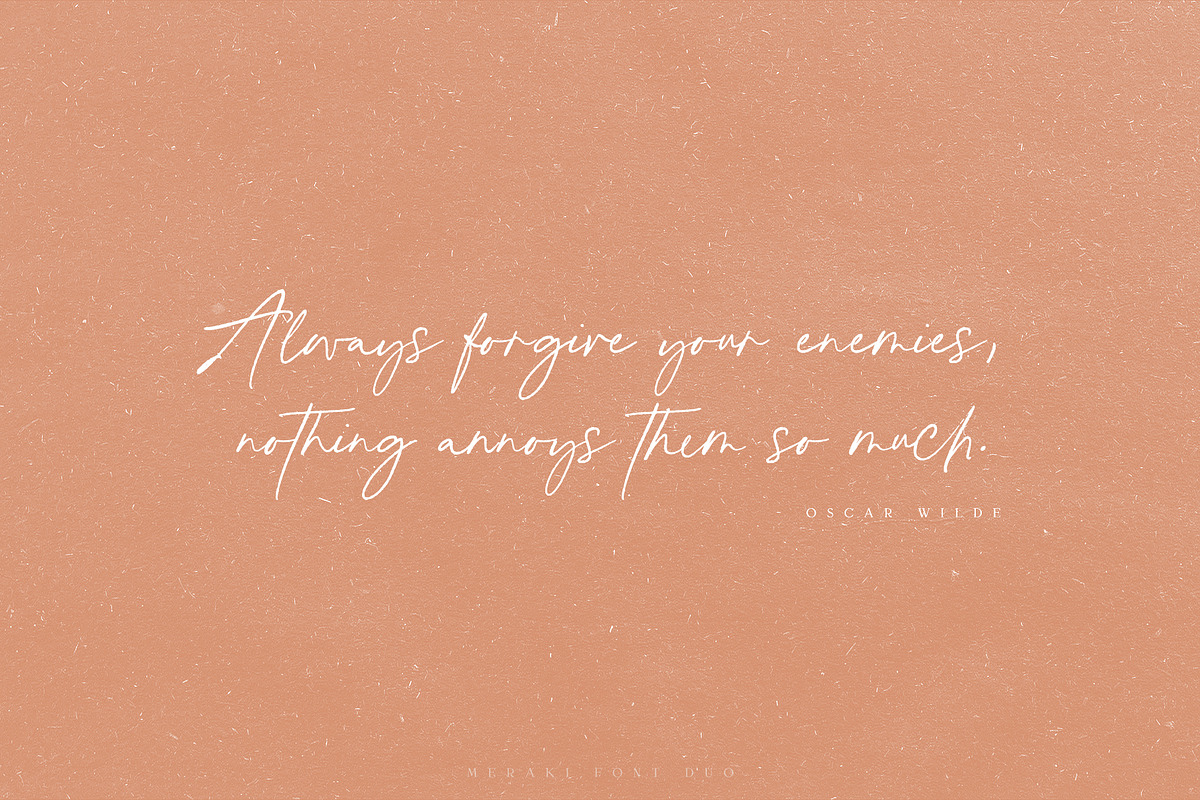 Meraki Font Duo + Logos, a Serif Font by Ivan Rosenberg (Photo 13 of 15)
