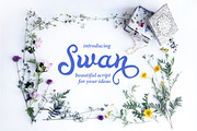 Awesome Bundle 84 fonts, a Script Font by Etewut (Thumbnail 57 of 71)