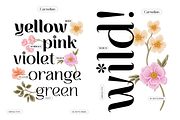 CARNELIAN - Display Variable Type, a Sans Serif Font by Artflorara (Thumbnail 5 of 15)