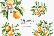 Orange Blossom - Watercolor Set, a Decorative Illustration by ThaismotaCreativeCo (Thumbnail 3 of 9)