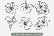 Hibiscus Line Art Illustration, a Decorative Illustration by Kusumaillustration (Thumbnail 2 of 6)