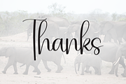 Elephant | Script Font, a Handwritten Font by Scratchones (Thumbnail 9 of 9)