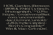 Uncmmn Stretched - 7 Style Serif, a Serif Font by Kotivoro (Thumbnail 17 of 18)