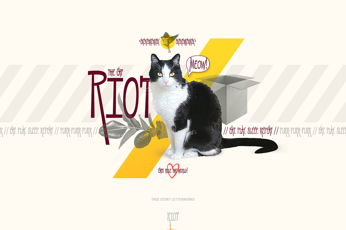 Riot, a Handwritten Font by True Story Letterworks (Photo 9 of 10)