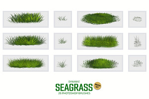 Dynamic Seagrass Brushes