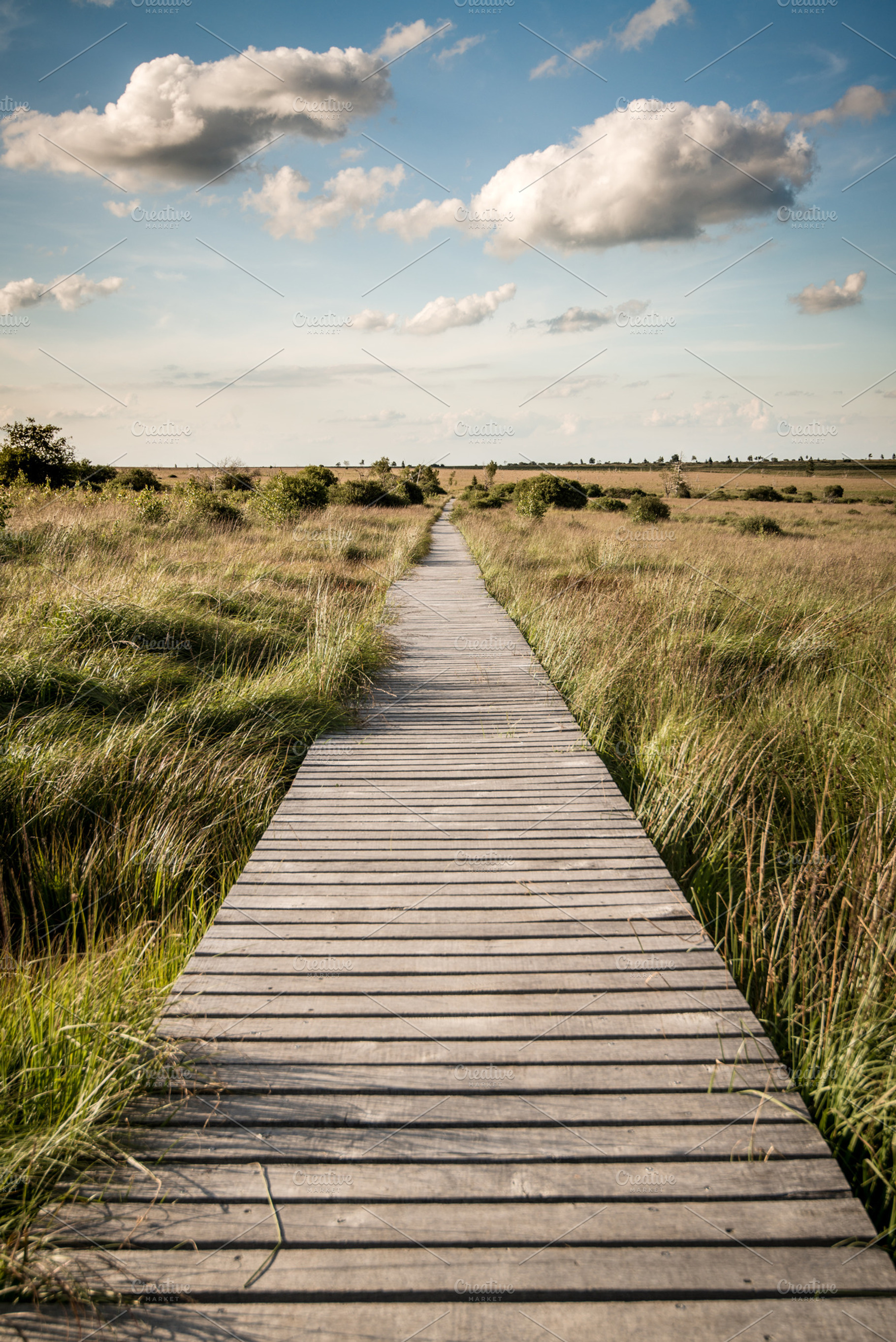 Wide landscape containing nature, landscape, and wide, a Nature Photo by Screeny's Photo Bucket