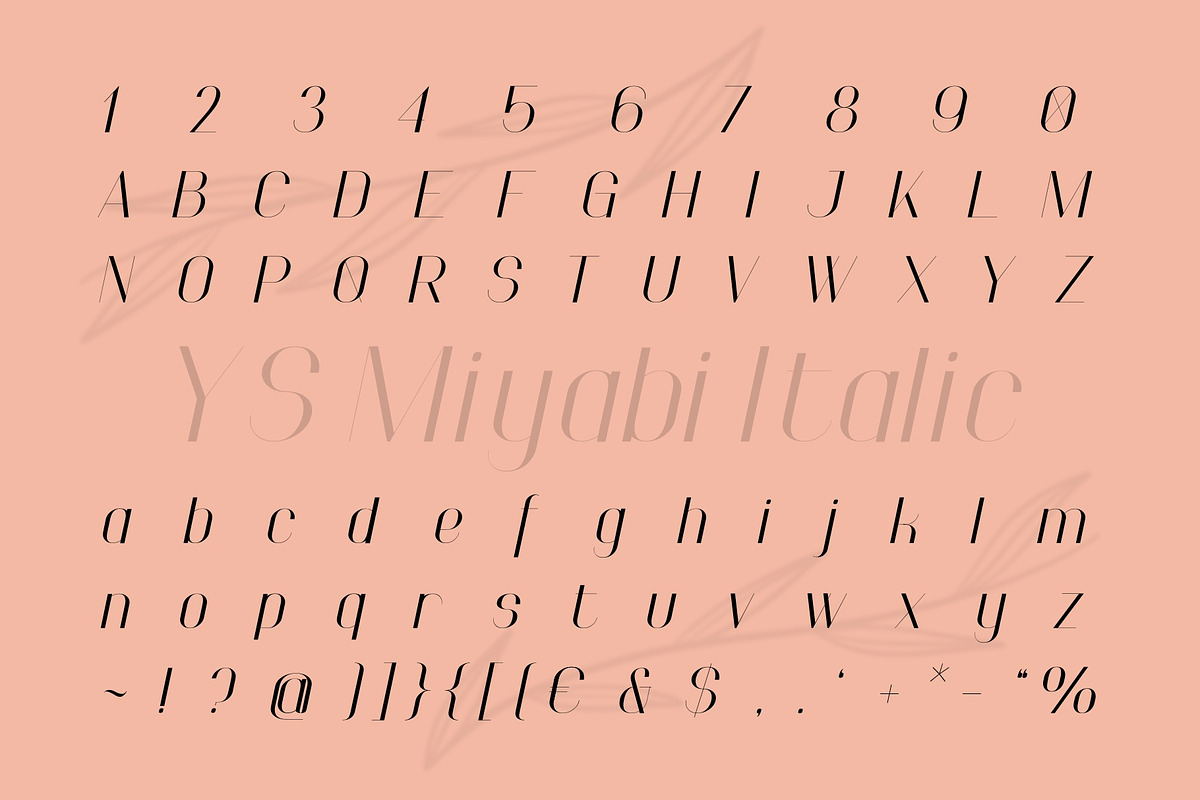 Miyabi Duo Font, a Sans Serif Font by YARARÀ STUDIO (Photo 5 of 10)