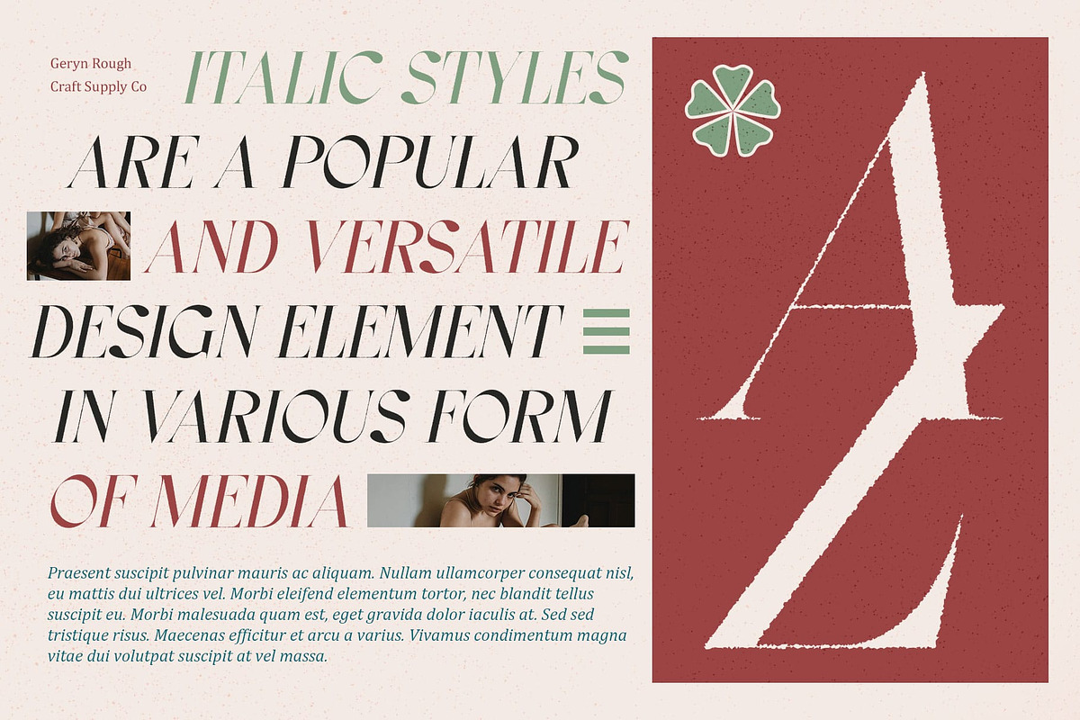 Geryn Rough, a Serif Font by Craft Supply Co. (Photo 4 of 8)