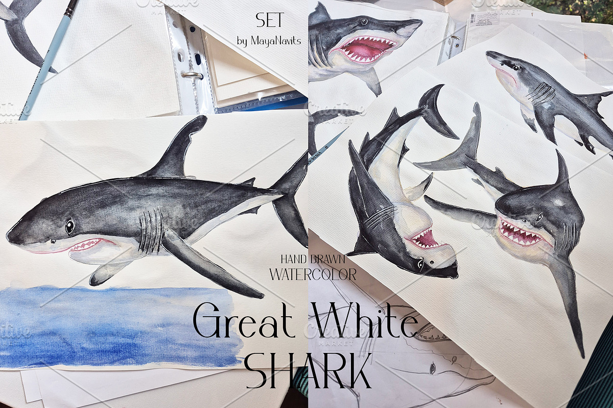 Watercolor Great White Sharks Set, an Animal Illustration by MayaNavits (Photo 7 of 7)