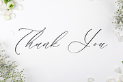 Liontinela Realise Chic Calligraphy, a Script Font by Storytype Studio (Thumbnail 15 of 15)