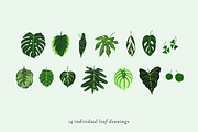 Tropical Leaves Drawing Set, a Decorative Illustration by elpple (Thumbnail 2 of 6)