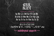 Coral Root - Stylish Serif Font, a Serif Font by Airotype (Thumbnail 11 of 13)