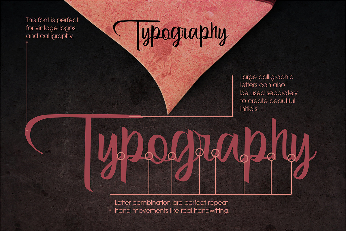 Bertha - Script With Ligatures, a Script Font by Vintage Font Lab (Photo 9 of 10)