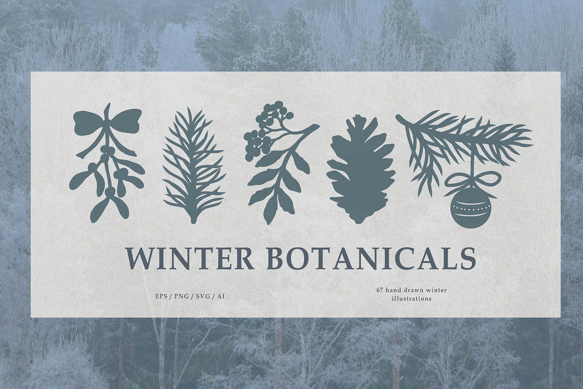 Winter Botanicals Clipart, a Seasonal Illustration by RaDavCrafts (Photo 1 of 12)