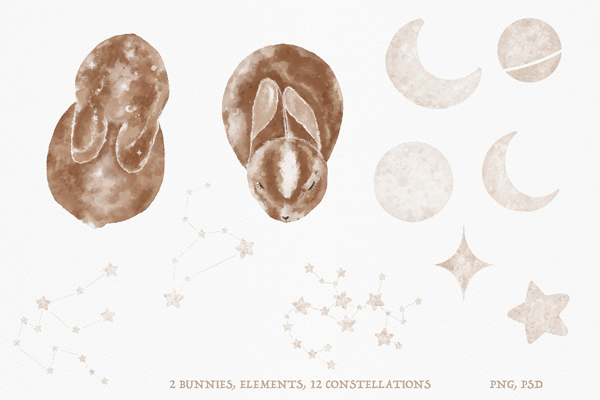 Magic bunnies clipart, an Animal Illustration by Leksart (Photo 4 of 14)