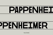 Pappenheimer – A Fresh Sans, a Sans Serif Font by Local Desk Designstudio (Thumbnail 6 of 20)