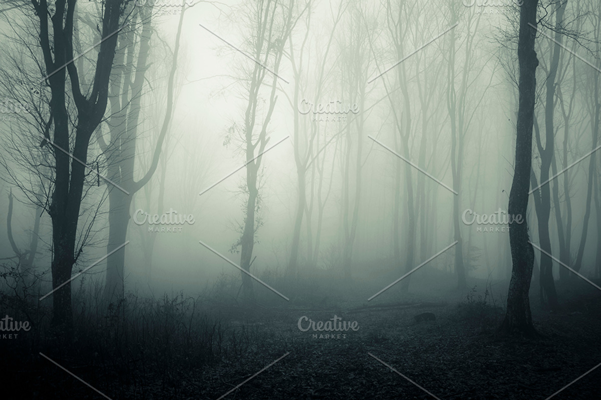 Halloween Forest pack 2018 Hi Res, a Nature Photo by Atmospheric visuals (Photo 3 of 11)