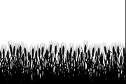 Harvest Wheat Border Designs, an Illustration by Creativeshirt (Thumbnail 9 of 9)