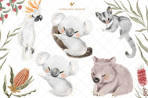 Australian Animals Clipart