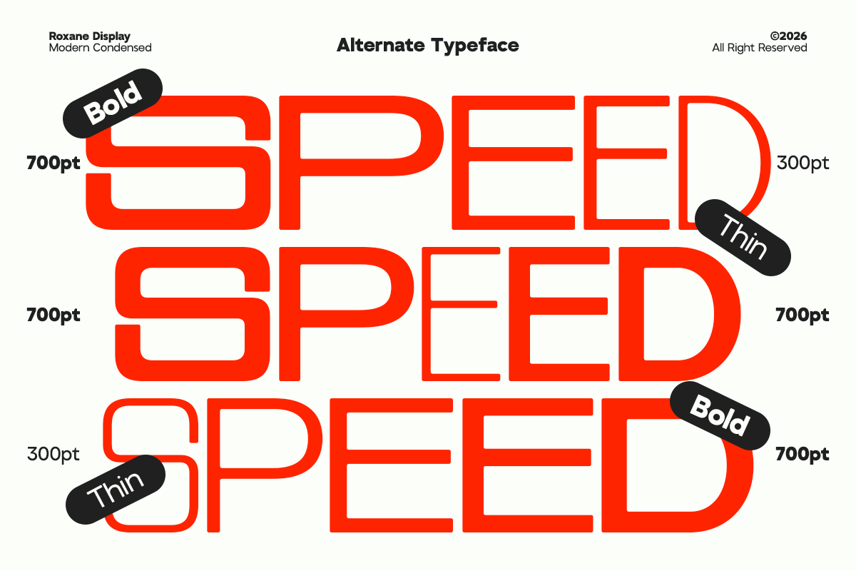 GC Roxane – Modern Display Condensed, a Sans Serif Font by Glyphonic (Photo 3 of 15)
