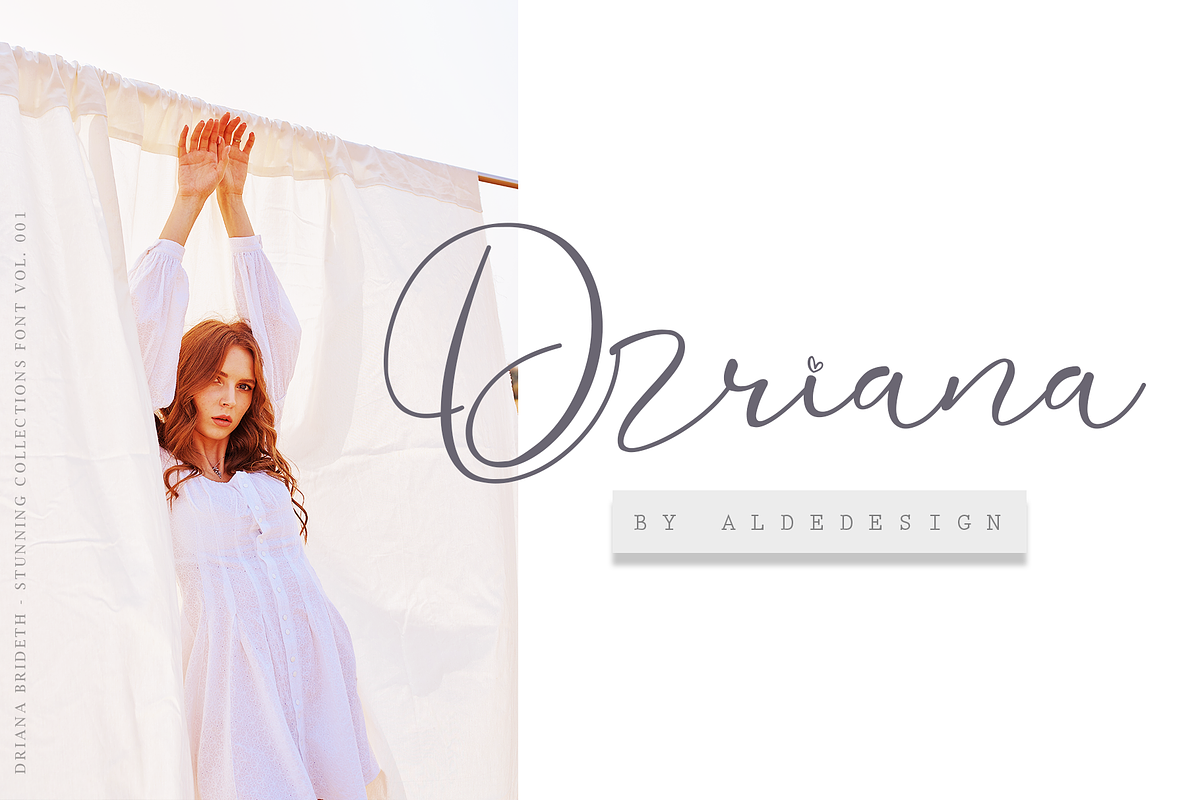 Driana Brideth, a Script Font by Aldedesign (Photo 3 of 10)