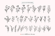 Wildflower Dreams Font & Flowers, a Handwritten Font by Kaya Fonts (Thumbnail 18 of 20)