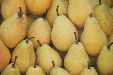 Fresh pears stock photo containing pear and pears