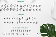 Broome Brush, a Script Font by adelaide (Thumbnail 2 of 4)