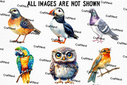 Cute Birds Clipart, an Illustration by Craft Nest (Thumbnail 4 of 6)