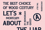 Morfelan A Display Typeface Font, a Serif Font by Storytype Studio (Thumbnail 11 of 15)
