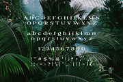 Petrichor - Expanded Serif, a Serif Font by Schrifted Type (Thumbnail 7 of 8)