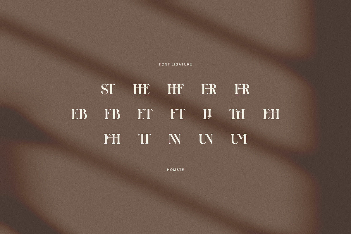 Homste Editorial Serif Font, a Serif Font by Perfectype (Photo 7 of 7)