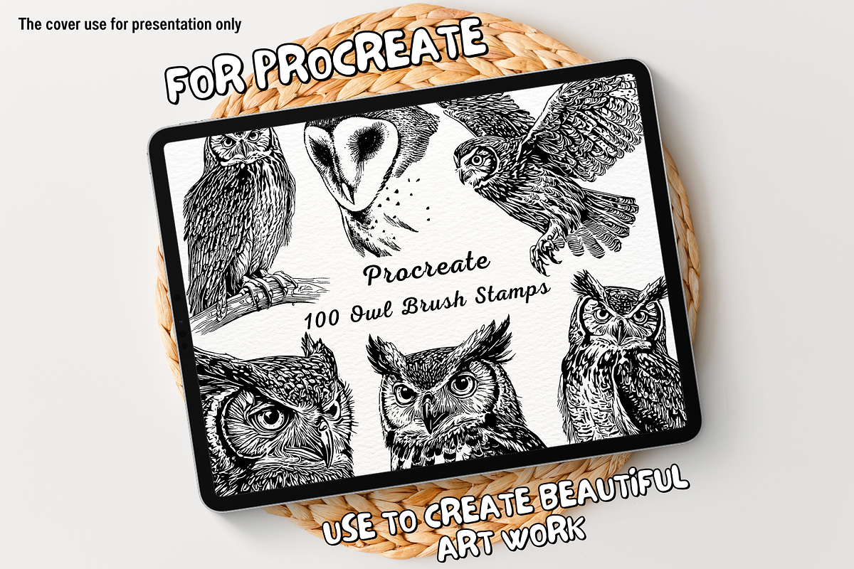 100 Owl Procreate Stamps, a Brush Add-On by Painter Creative Books (Photo 1 of 9)